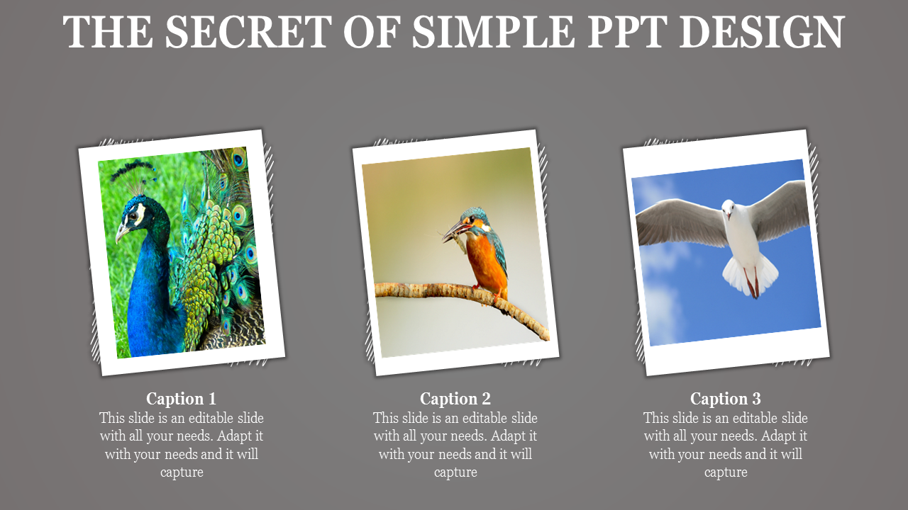 simple ppt design-The Secret Of SIMPLE PPT DESIGN